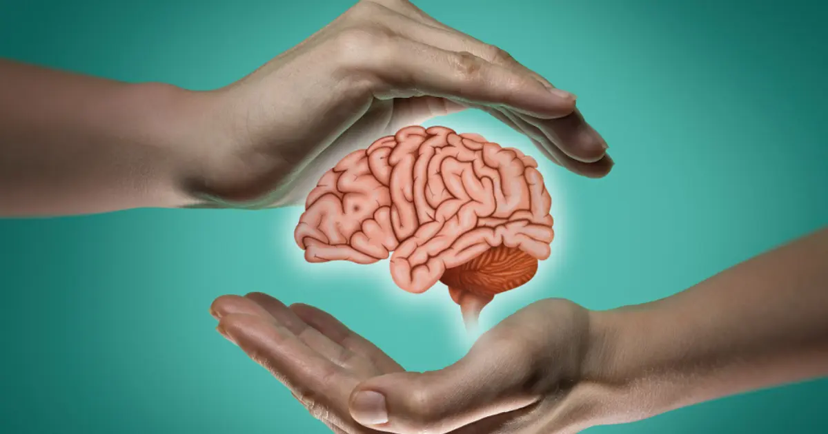 Lifestyle image showing exercise, healthy eating, and mental activities that support brain health and help prevent age-related brain volume loss.